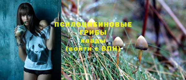 шишки Алексеевка