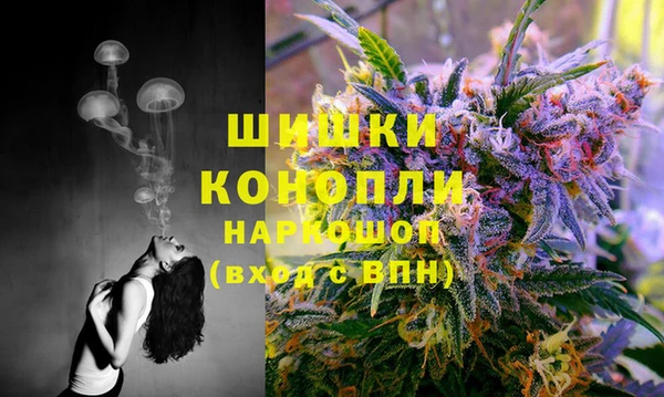 шишки Алексеевка