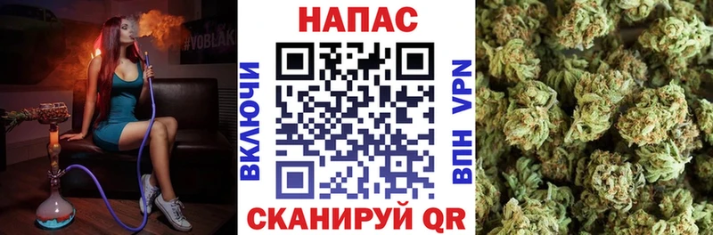хочу   Кувшиново  Шишки марихуана конопля 